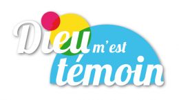logo-dmet-ombre