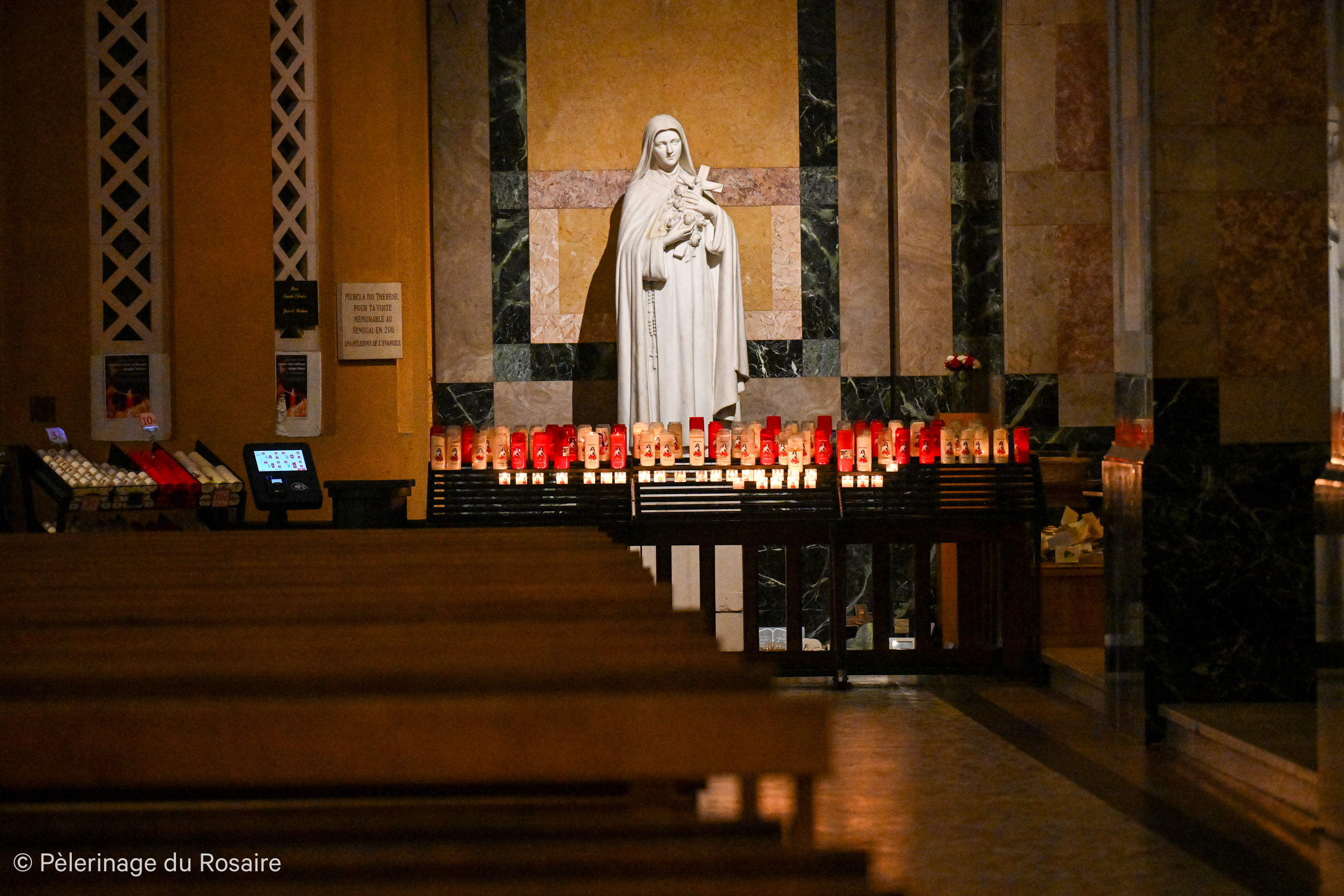 DSC_9898.jpg