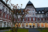 DSC_5764.jpg