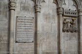 DSC_5810.jpg