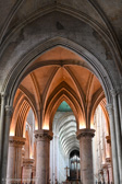 DSC_5816.jpg