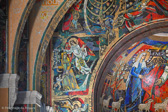 DSC_9861.jpg