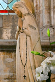 DSC_9941.jpg