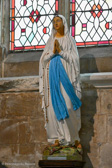DSC_9971.jpg