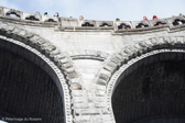DSC00113.jpg