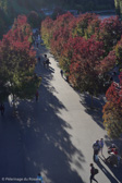 DSC00644.jpg