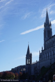 DSC01130.jpg