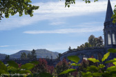 DSC01143.jpg