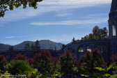 DSC01145.jpg
