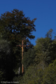DSC01158.jpg