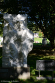 LWM_8681.jpg