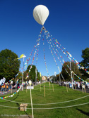 DSC00685.jpg