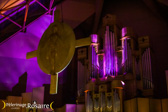 IMG_5558.jpg