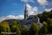 IMG_4459.jpg