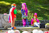 IMG_5067.jpg