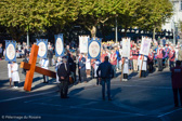 DSC_0244.jpg
