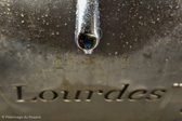 DSC_0399.jpg