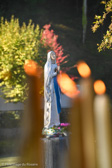 DSC_0448.jpg