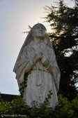 DSC_0464.jpg