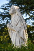 DSC_0470.jpg