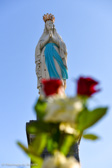 DSC_0471.jpg