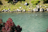 DSC_1359.jpg