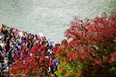 DSC_1360.jpg