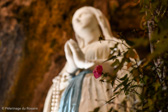DSC_1721.jpg