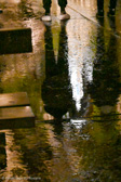 DSC_2498.jpg