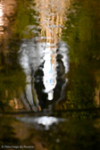 DSC_2504.jpg