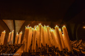 DSC_5266.jpg