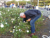 P1160560.jpg
