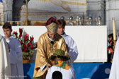 IMG_9802.jpg