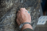 IMG_9956.jpg