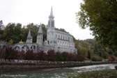 IMG_9972.jpg