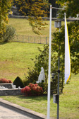 DSC_2814.jpg