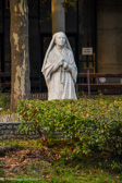 DSC_2896.jpg