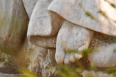 DSC_2901.jpg
