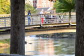 DSC_2910.jpg