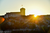 DSC_3016.jpg