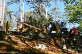 DSC_3091.jpg