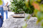 DSC_3118.jpg