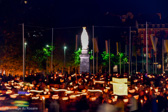 DSC_3318.jpg