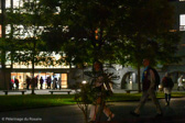 DSC_3408.jpg