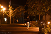 DSC_3424.jpg