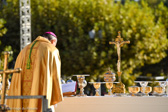 DSC_3722.jpg