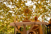 DSC_4194.jpg