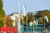 DSC_4255.jpg
