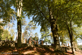 DSC_9080.jpg