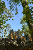 DSC_9081.jpg